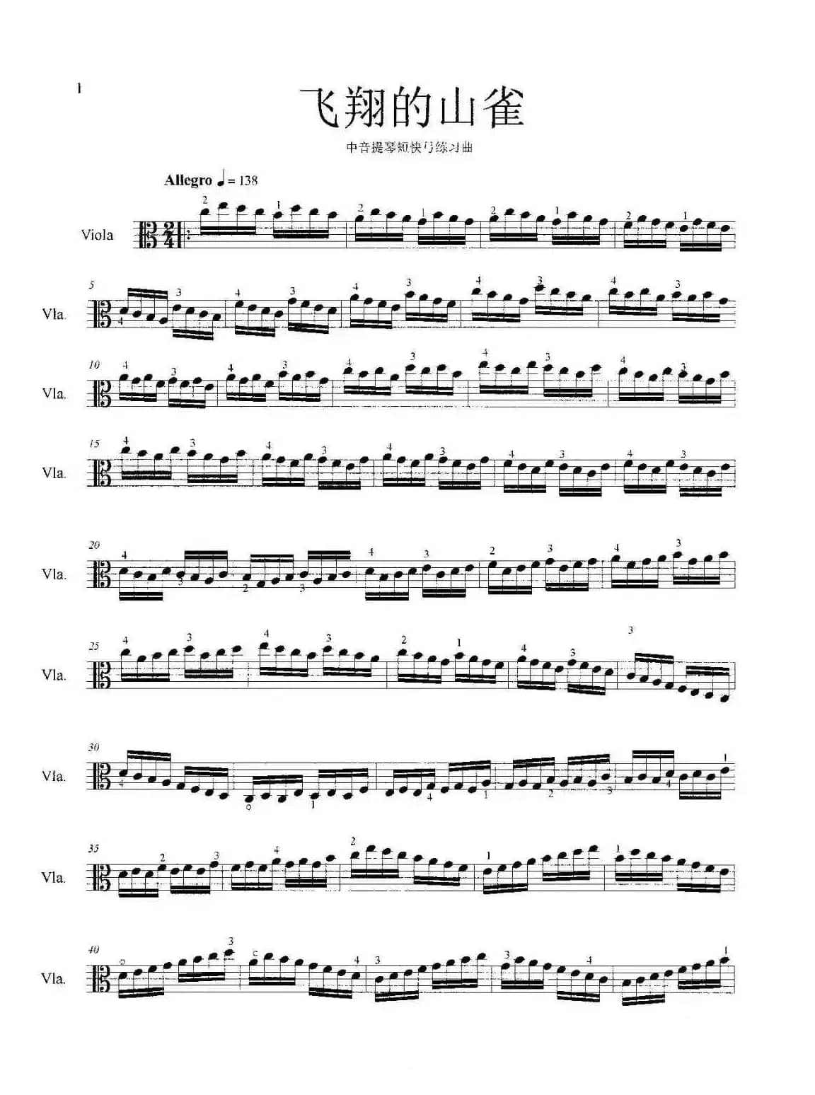 飞翔的山雀（中音提琴短快弓练习曲）
