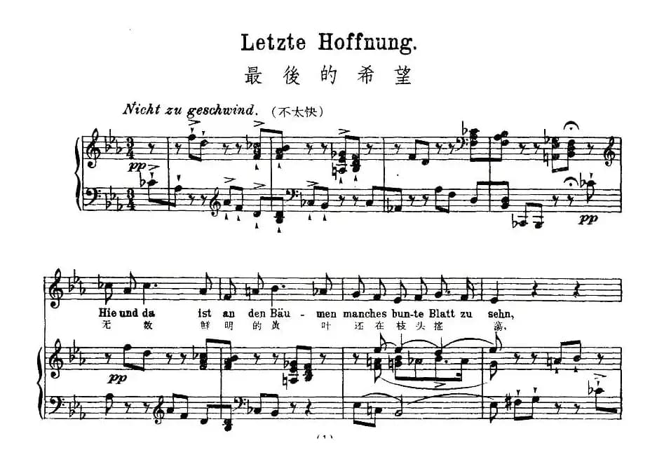 最后的希望（中外文对照版、正谱 [奥]）