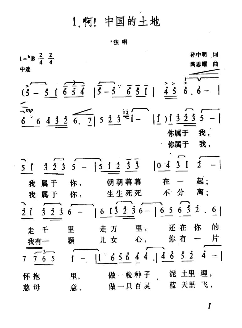 啊！中国的土地