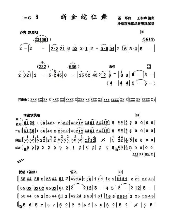 新金蛇狂舞（简单小民乐合奏谱）