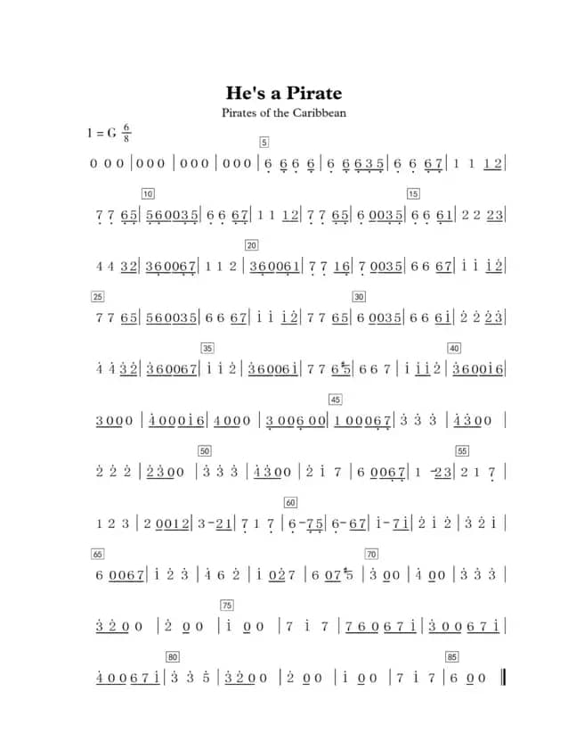 He's a pirate(he is a pirate)