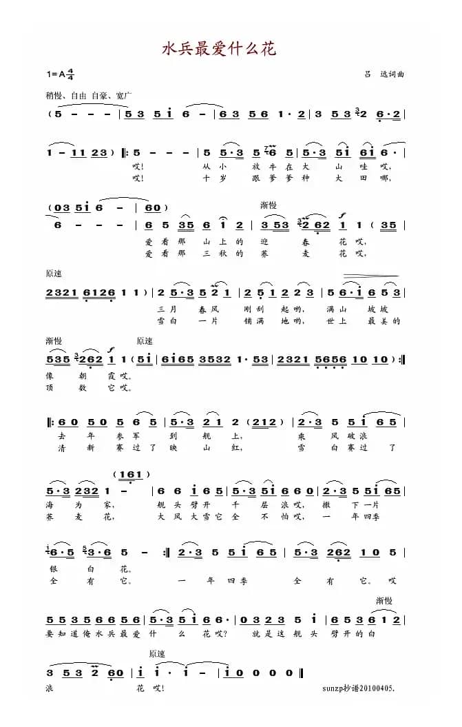 水兵最爱什么花