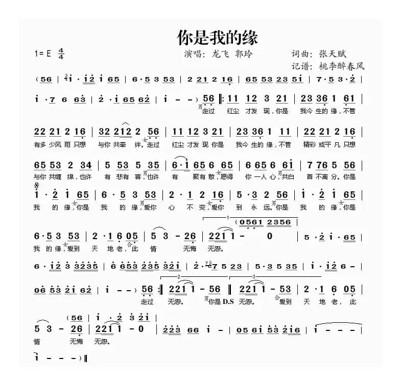 你是我的缘（张天赋词 张天赋曲）