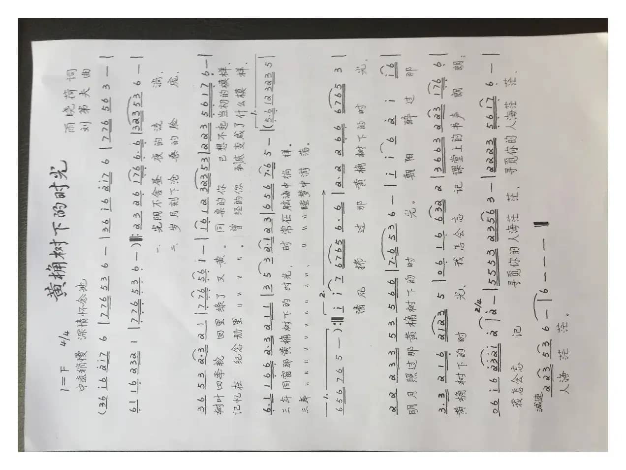 黄桷树下的时光