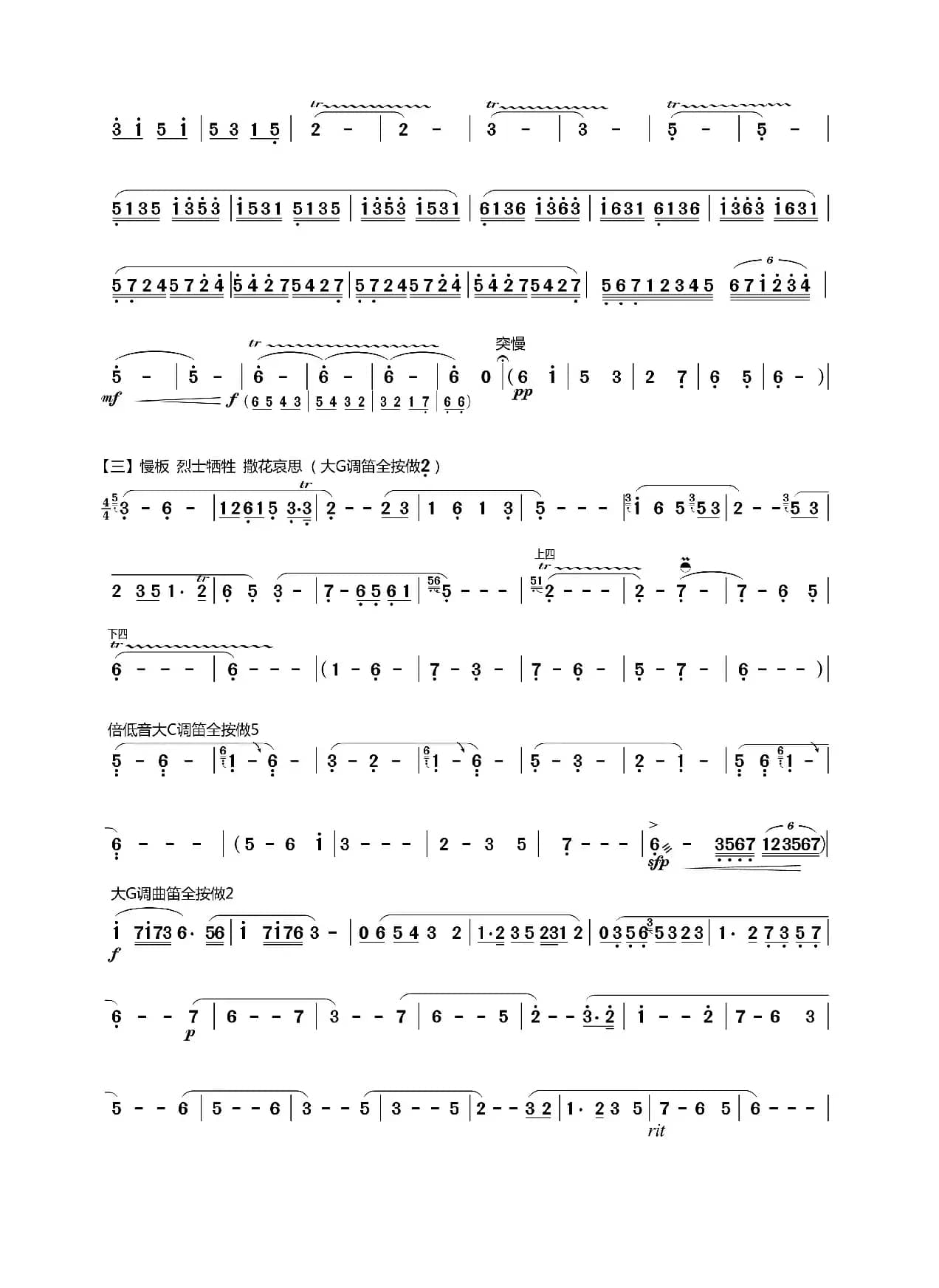 春祭（2020战疫笛子叙事曲）