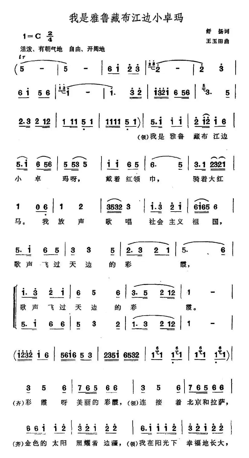 我是雅鲁藏布江边小卓玛