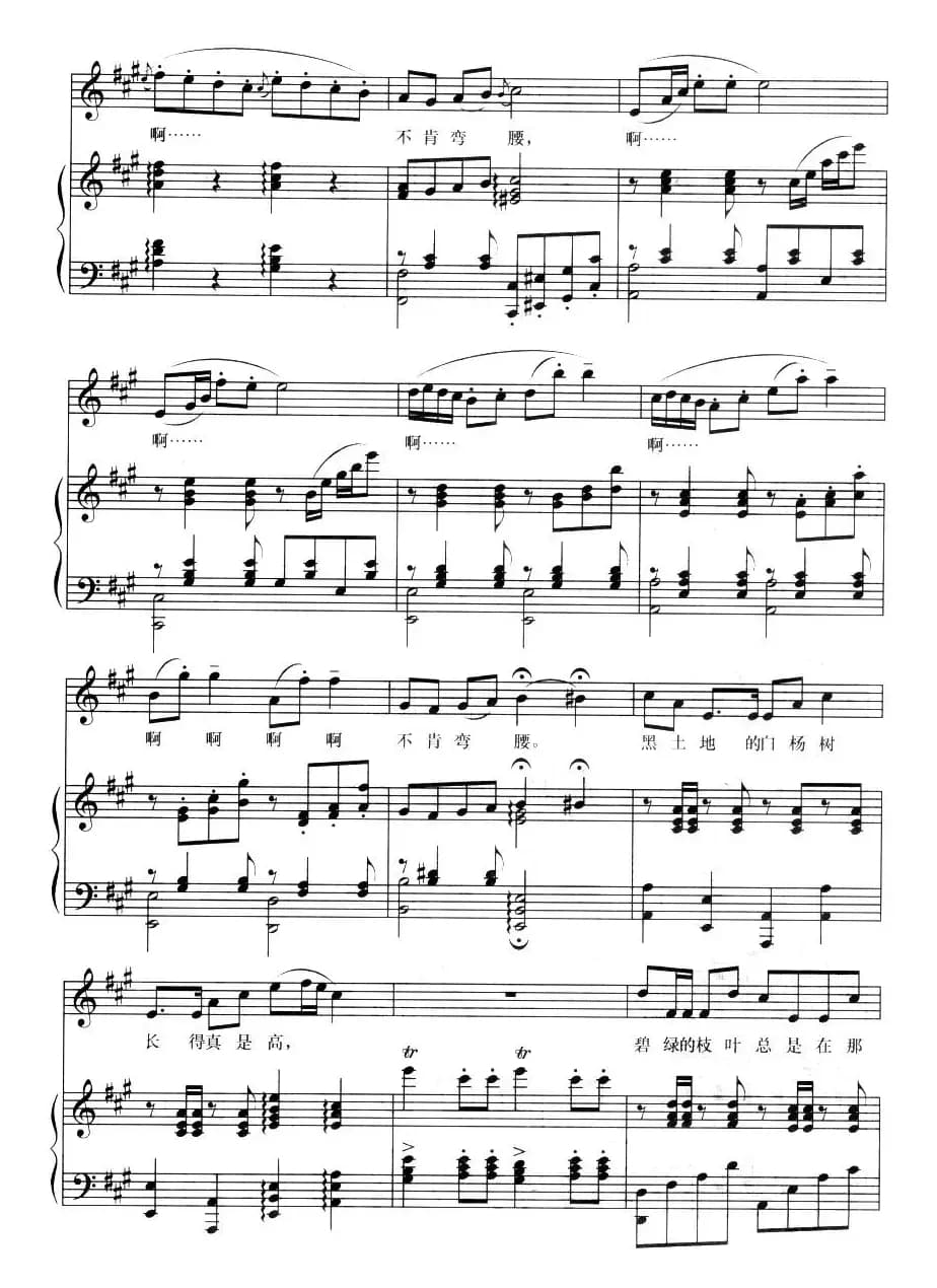 黑土地的白杨树（正谱）
