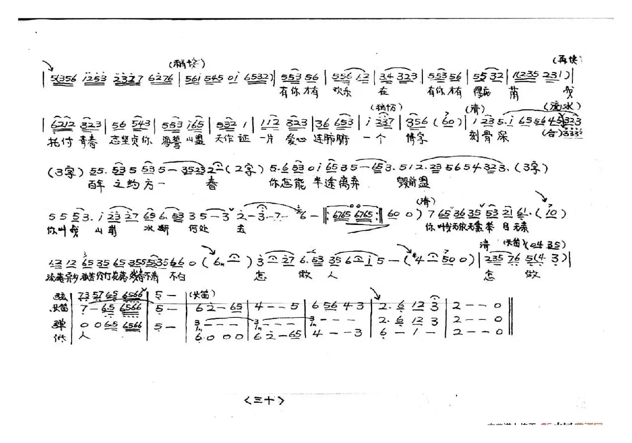 梨花情（越剧戏歌）