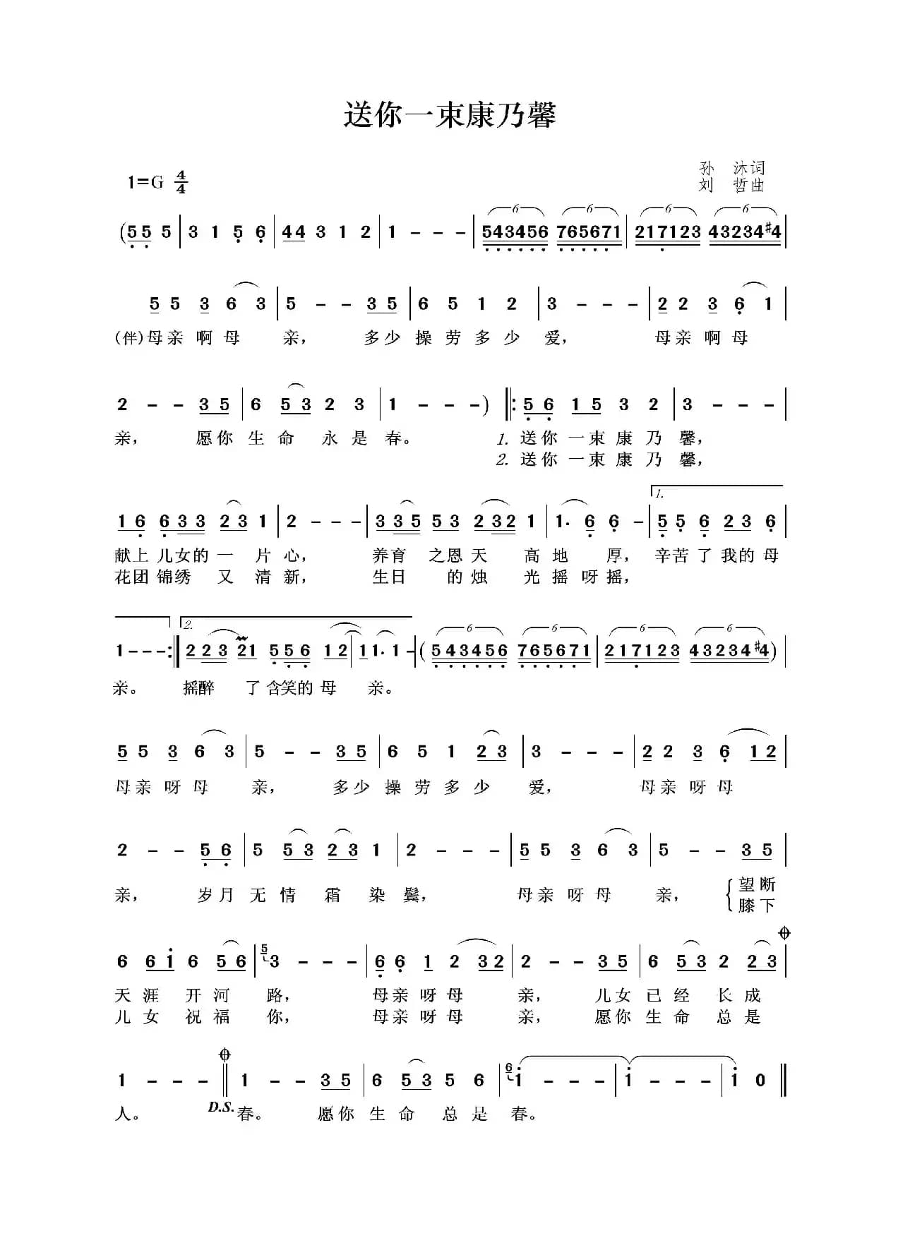 送你一束康乃馨