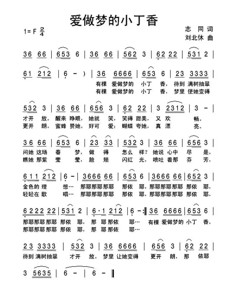 爱做梦的小丁香