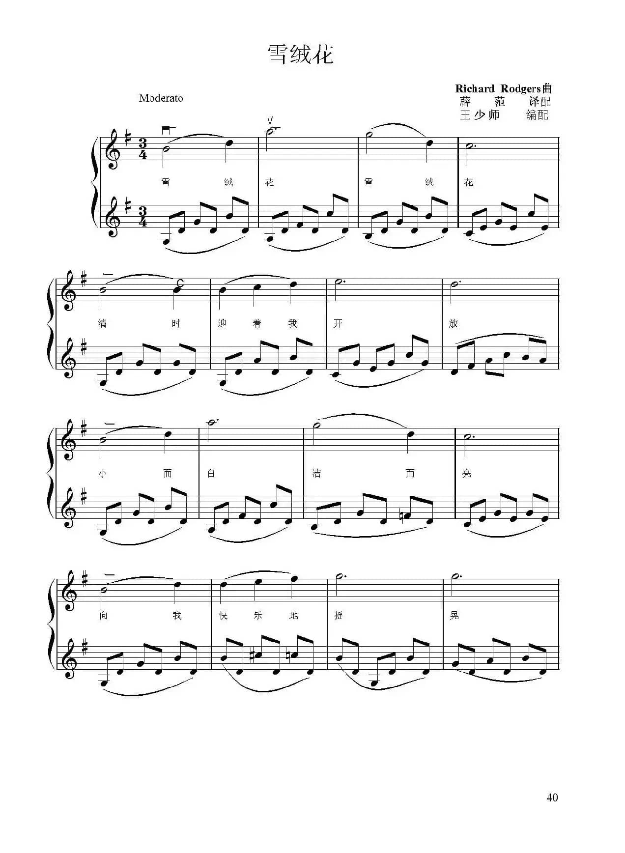 《雪绒花》（小提琴二重奏）