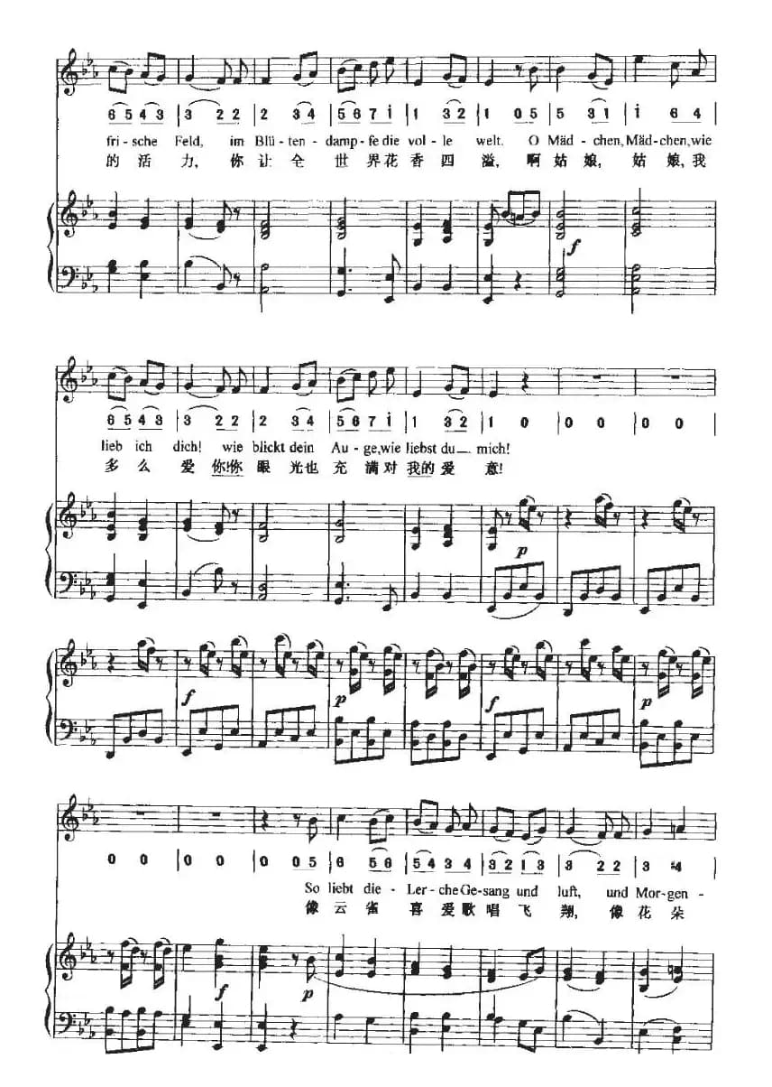 Mailied（五月之歌）（中外文对照、正谱+简谱）