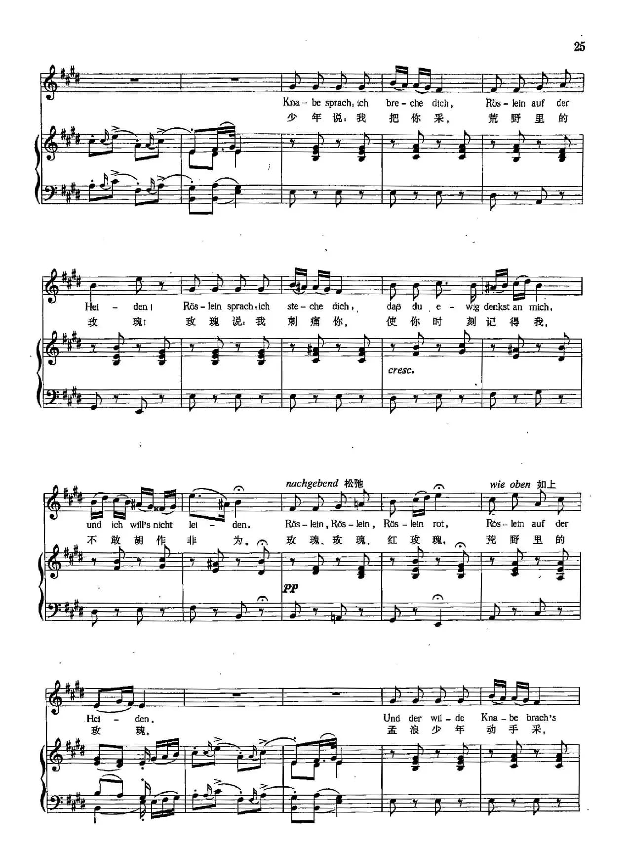 [奥]6野玫瑰（正谱）