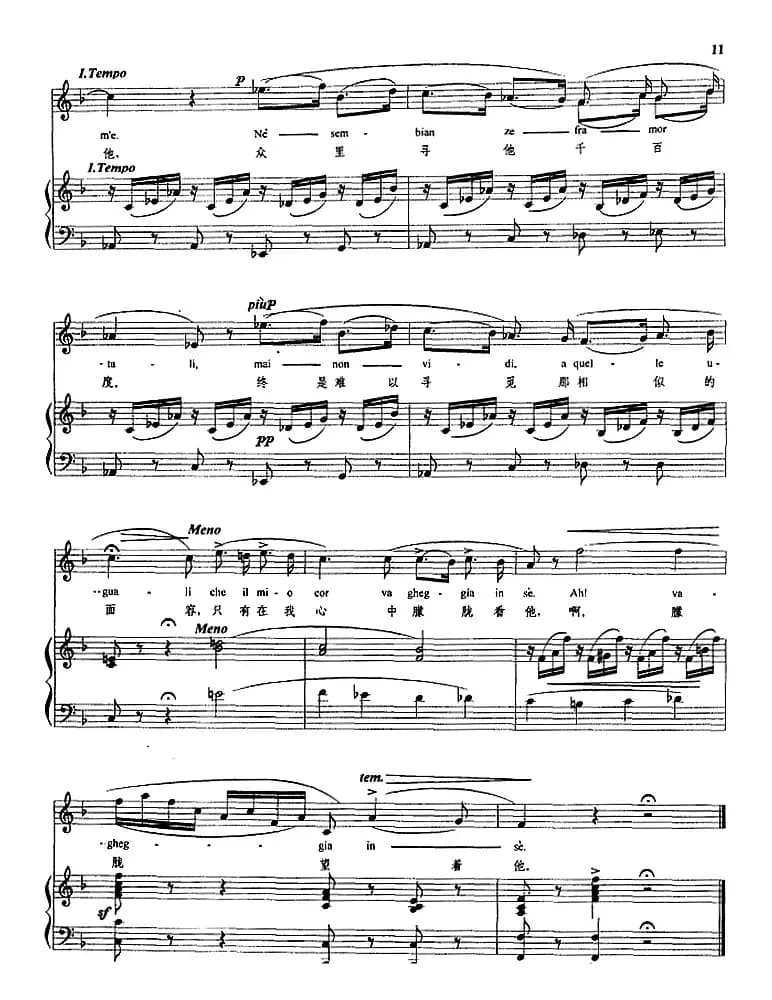 我的爱情（正谱）