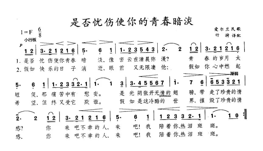 是否忧伤使你的青春暗淡（爱尔兰）