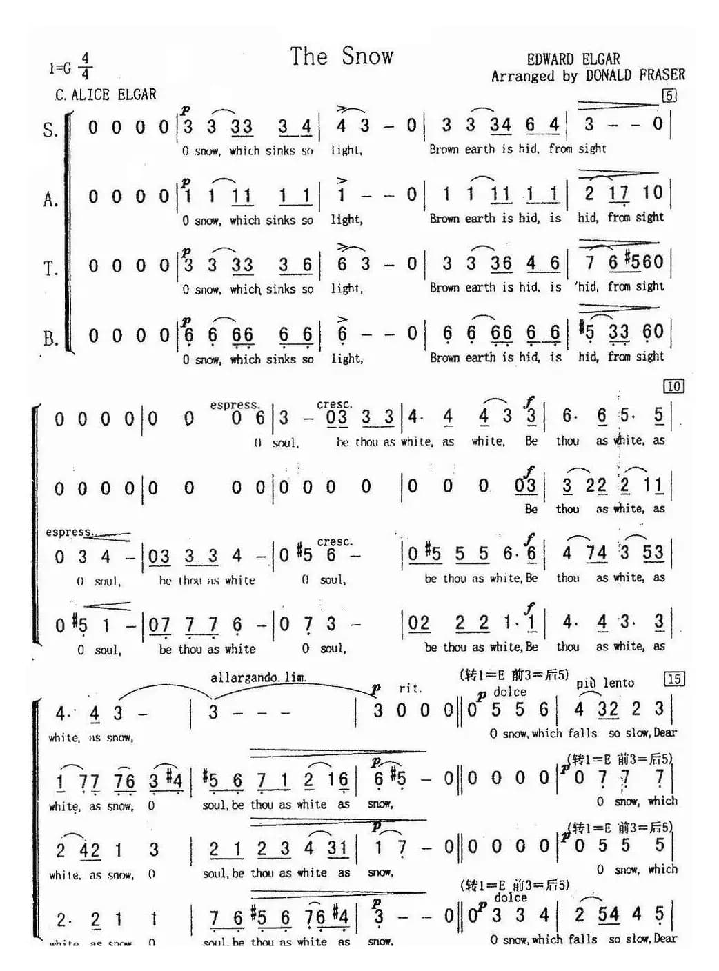 The Snow（雪花）