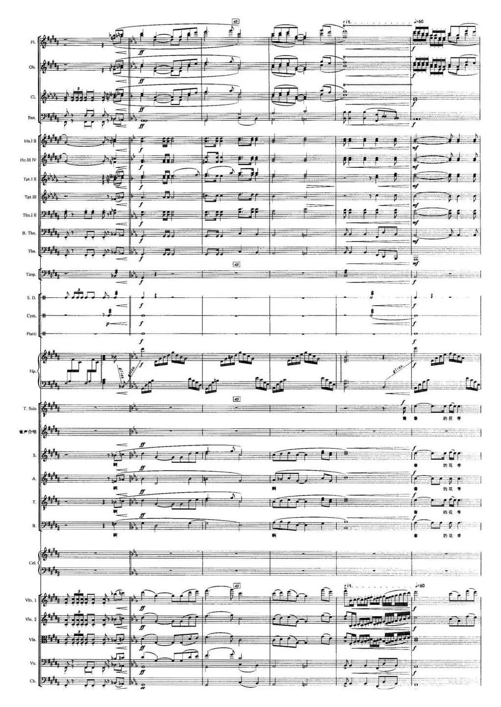 召唤（宋小明词 栾凯曲）（声乐及伴奏总谱）