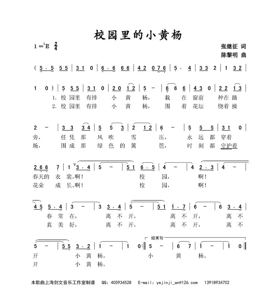 校园里的小黄杨