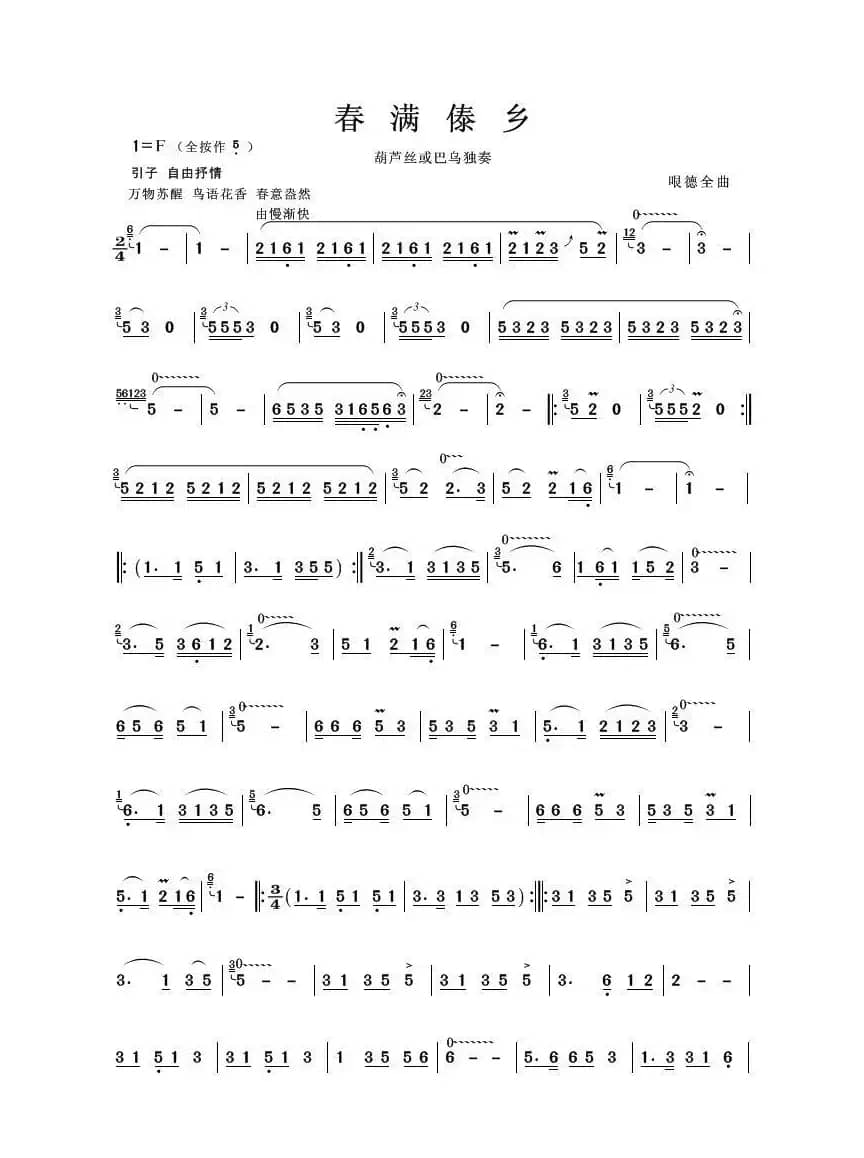 春满傣乡（葫芦丝独奏）