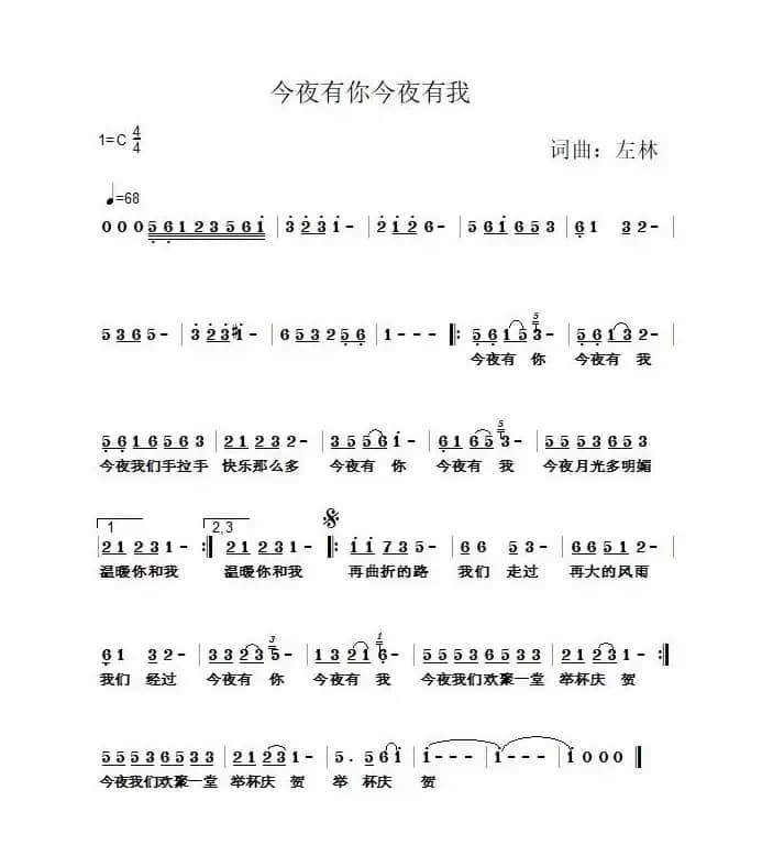 今夜有你今夜有我（左林音乐作品）