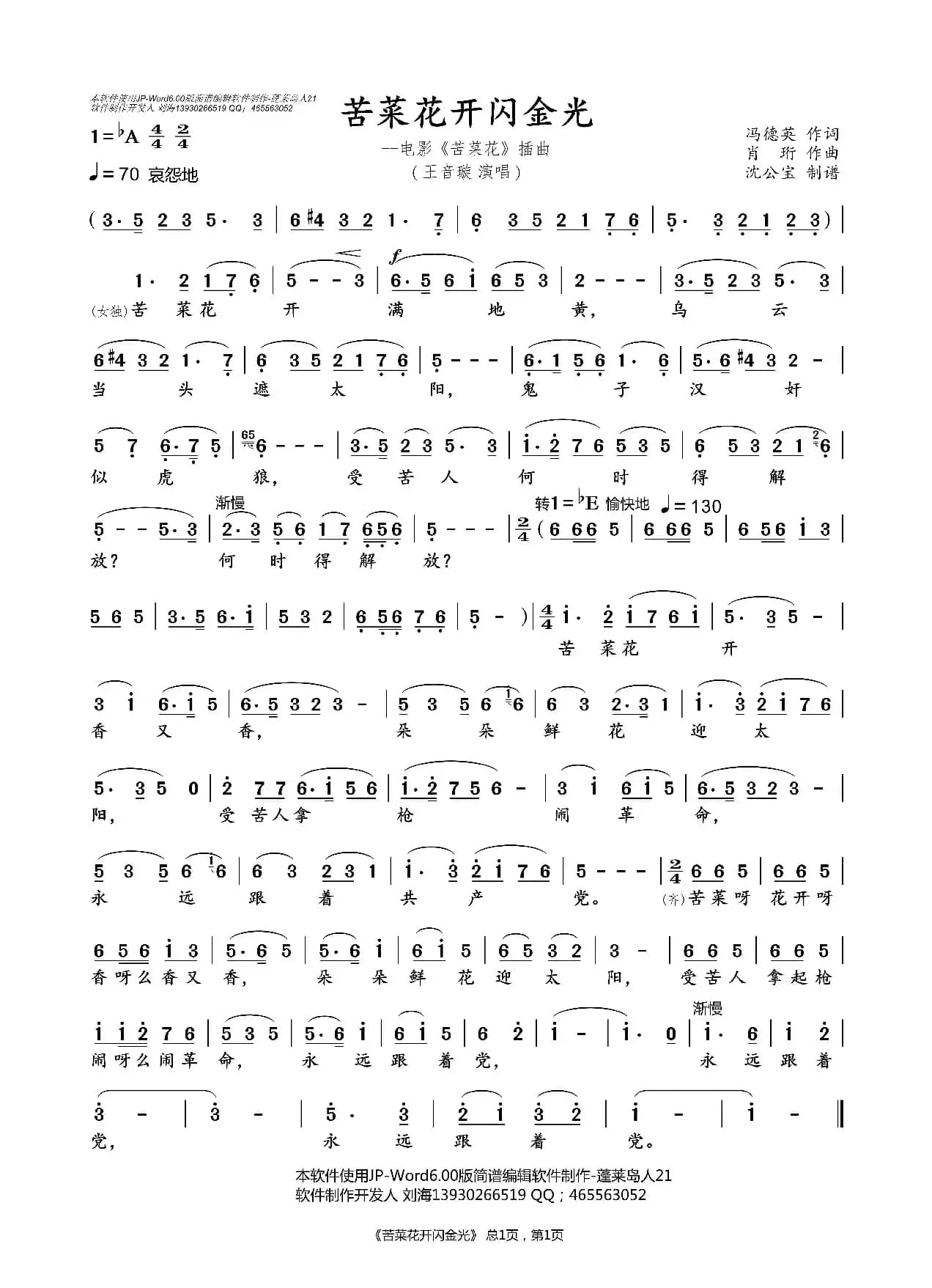 苦菜花开闪金光