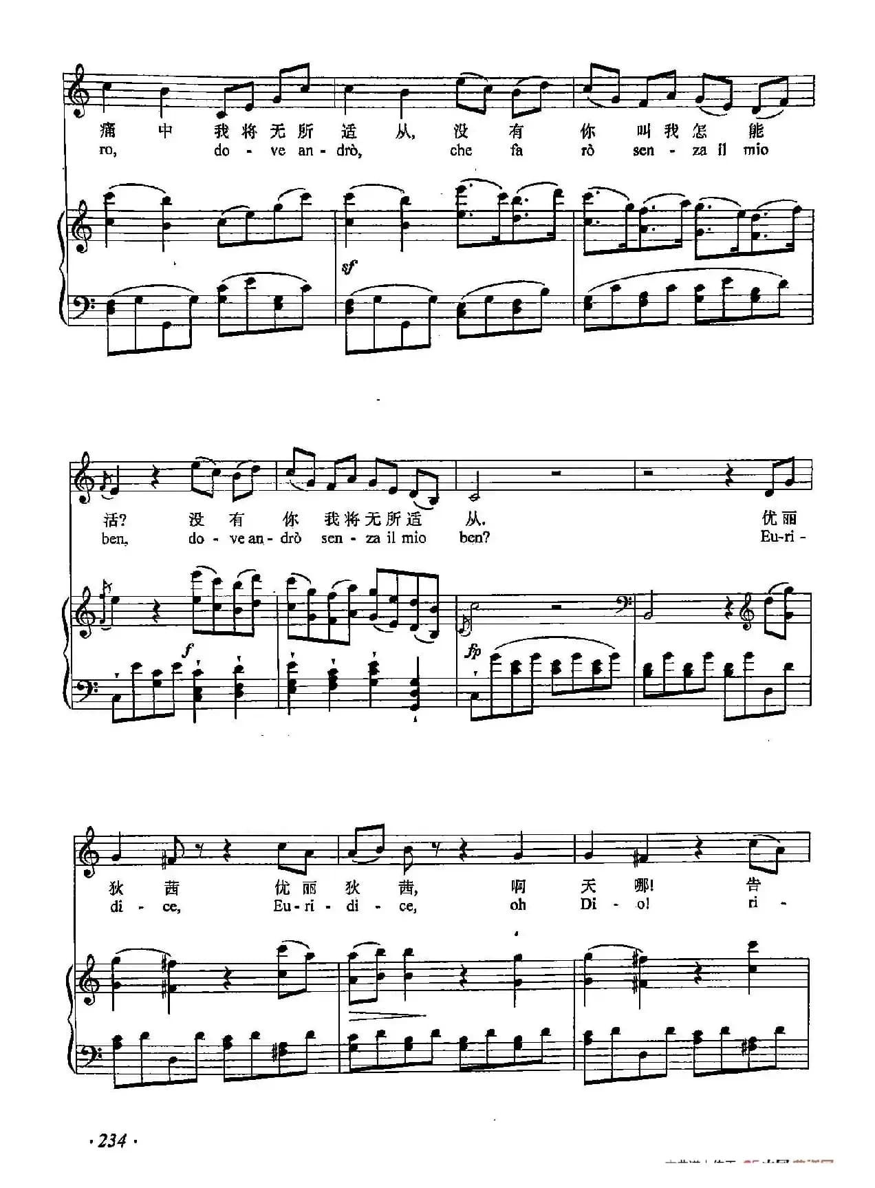 丁小琴编-70世上没有优丽狄茜我怎能活（正谱）