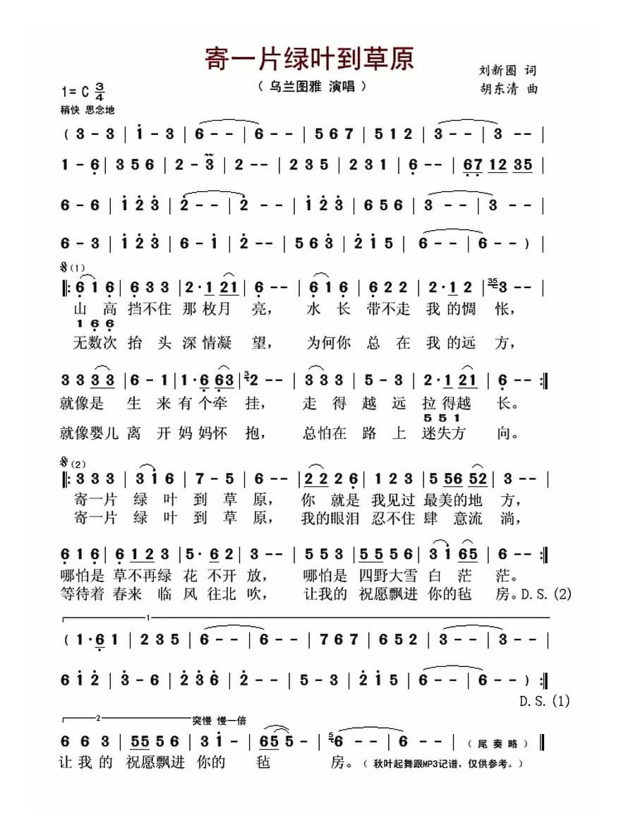 寄一片绿叶到草原