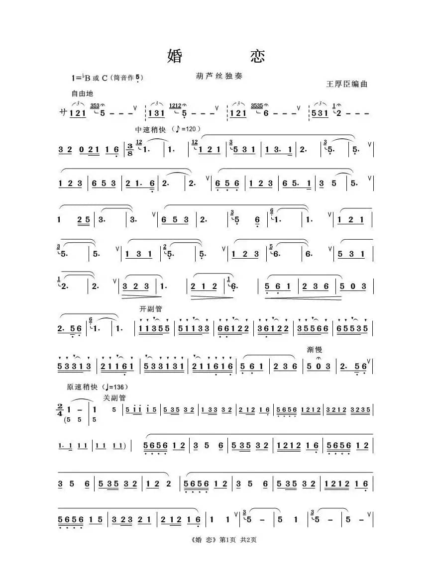 婚恋（葫芦丝独奏）