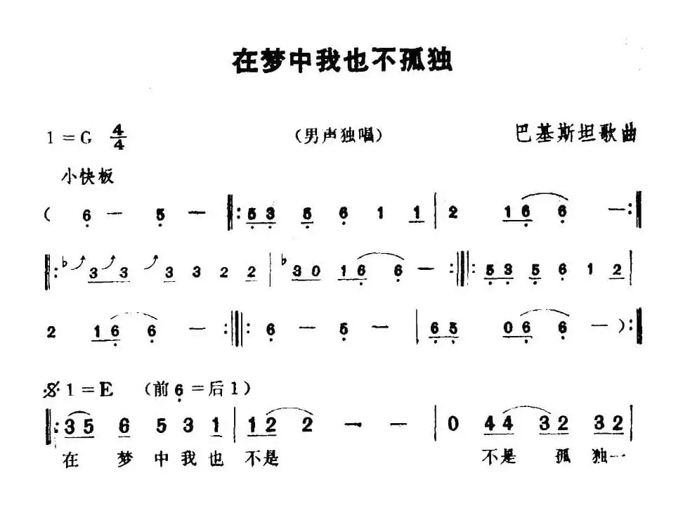 [巴基斯坦]在梦中我也不孤独