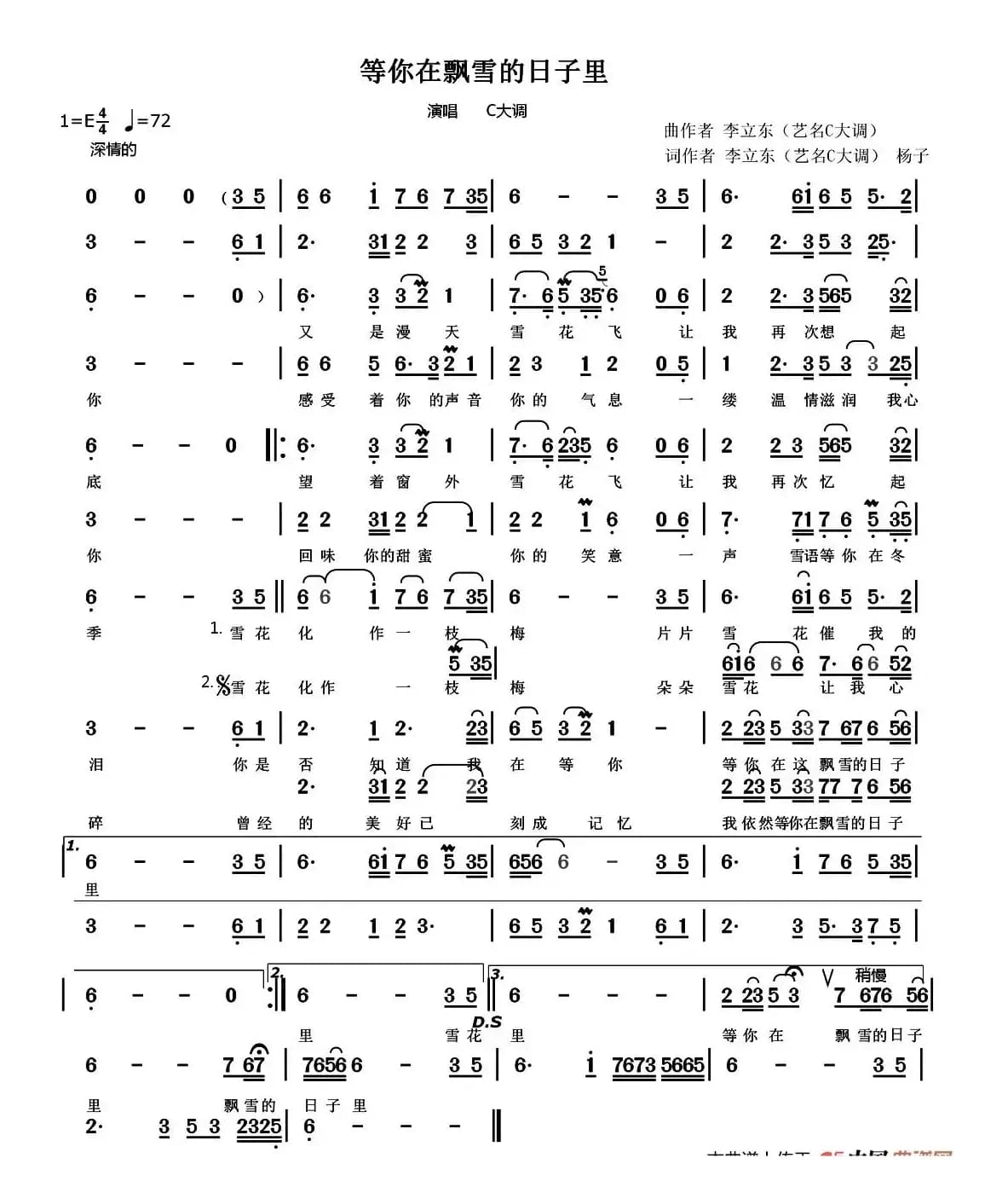 等你在飘雪的日子里
