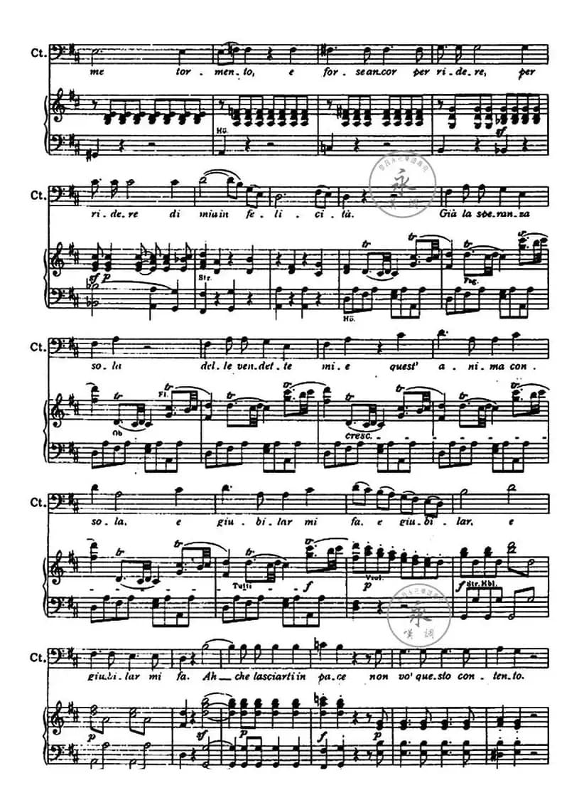 你赢得了诉讼（选自歌剧《费加罗婚礼》）