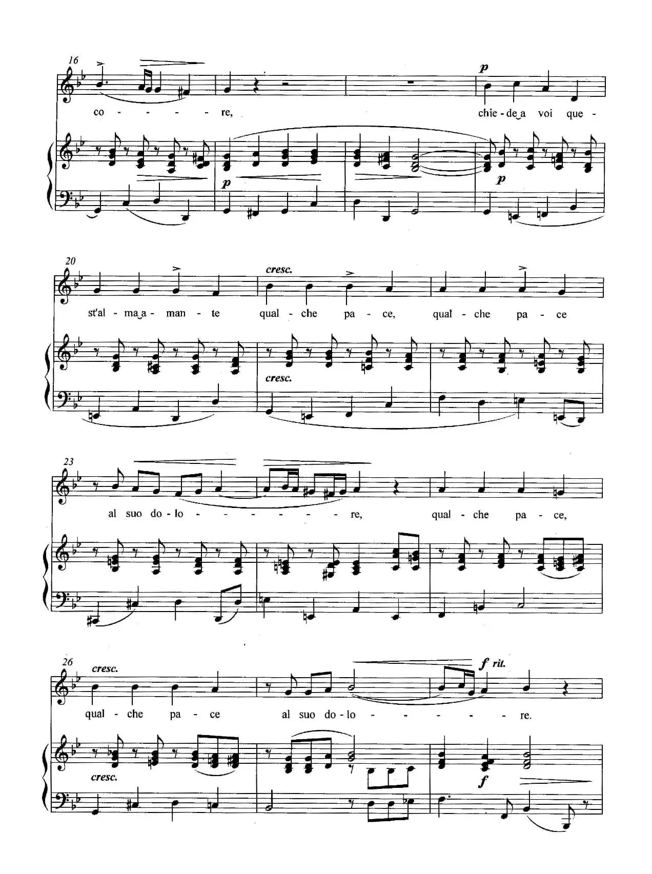 [意]友善的森林（正谱）