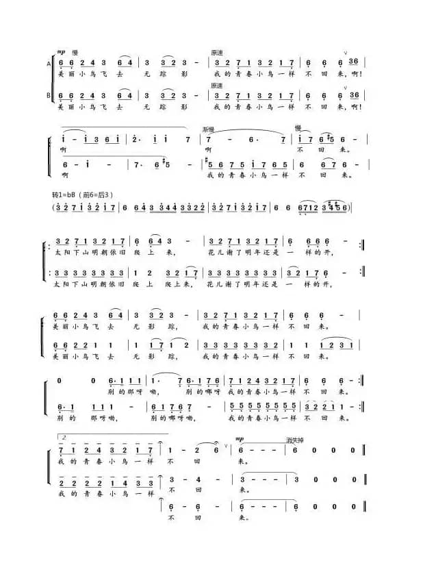 青春舞曲二声部合唱（韩大伟整理合唱）