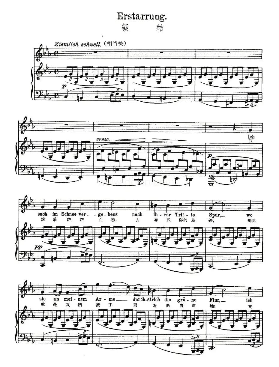 凝结（中外文对照版、正谱 [奥]）