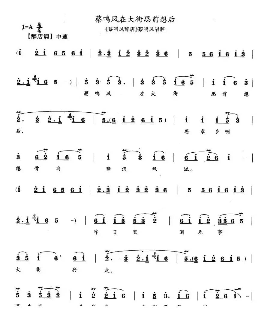 蔡鸣凤在大街思前想后（《蔡鸣凤辞店》蔡鸣凤唱段）