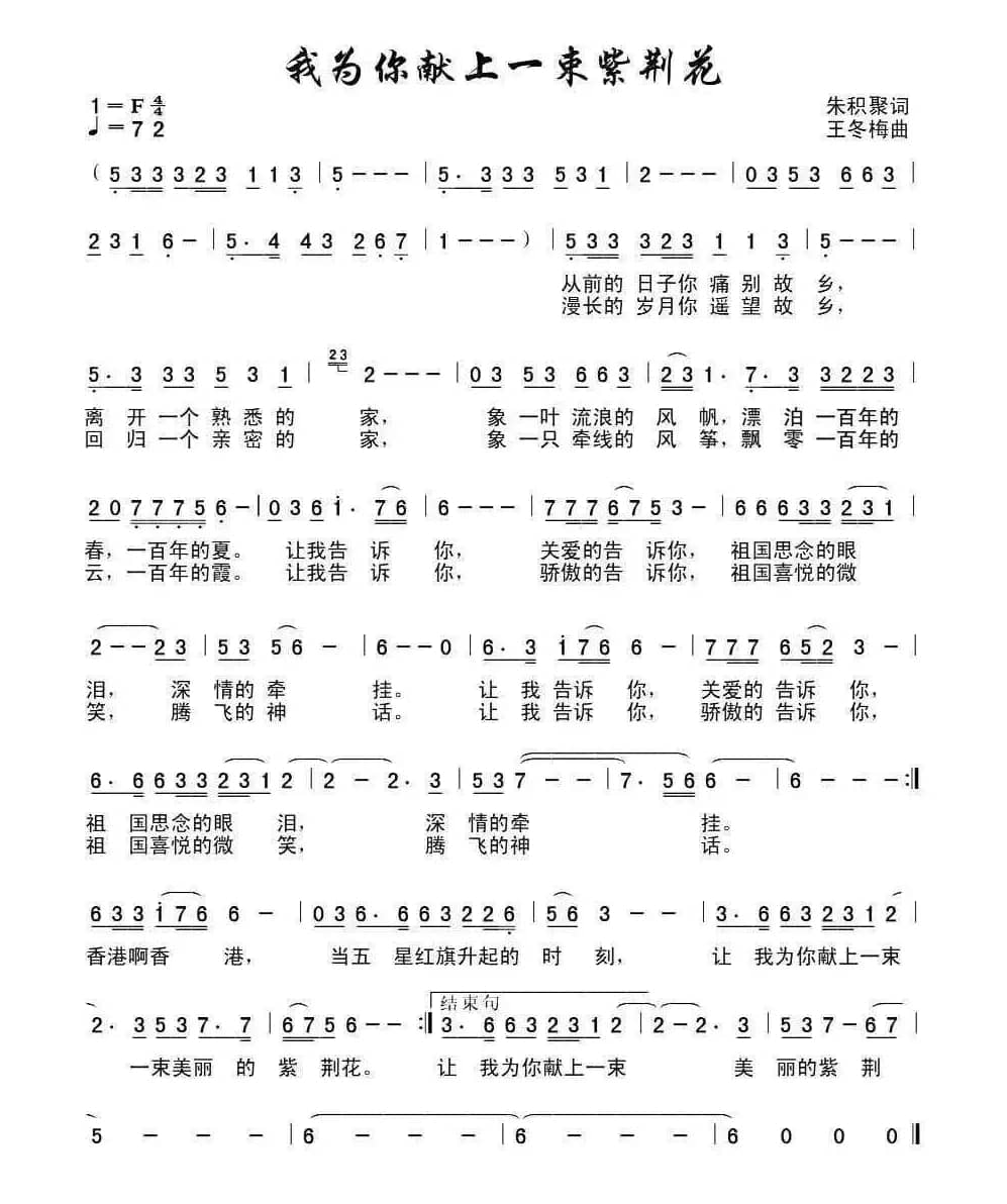 为你献上一束紫荆花