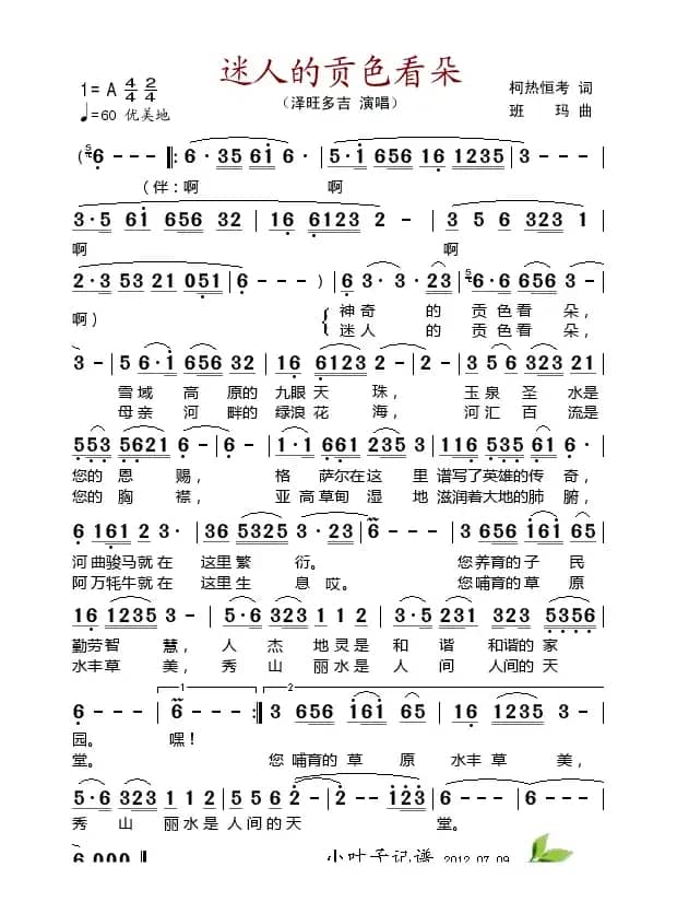 迷人的贡色看朵