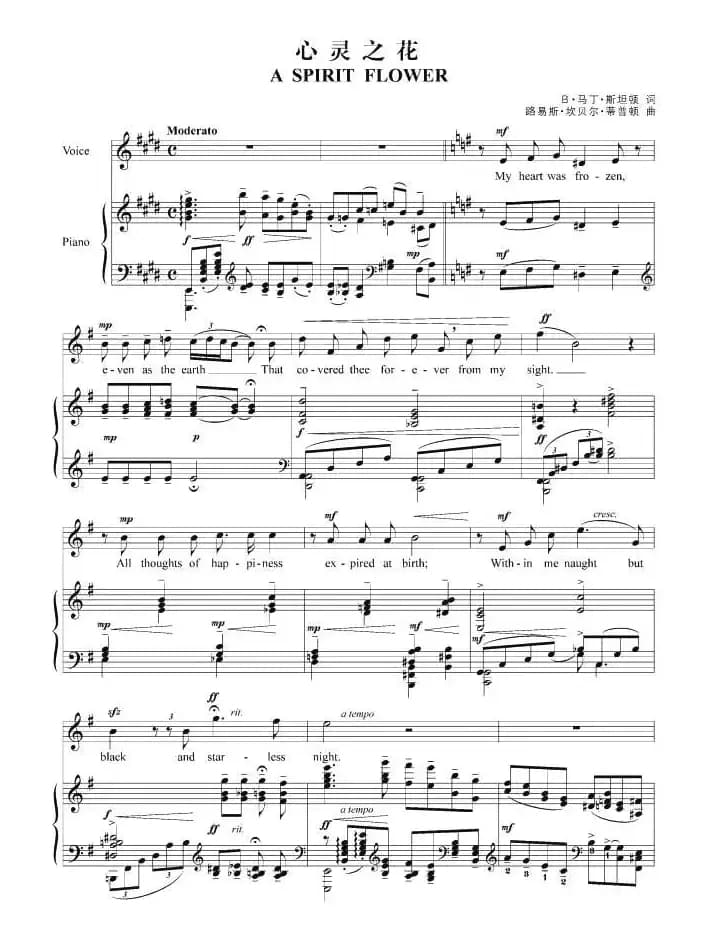 [美]心灵之花（正谱）
