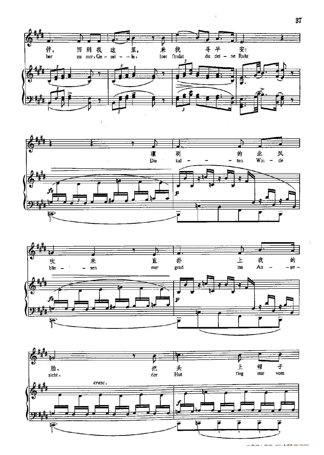 声乐教学曲库4-[德-奥]6菩提树（正谱）