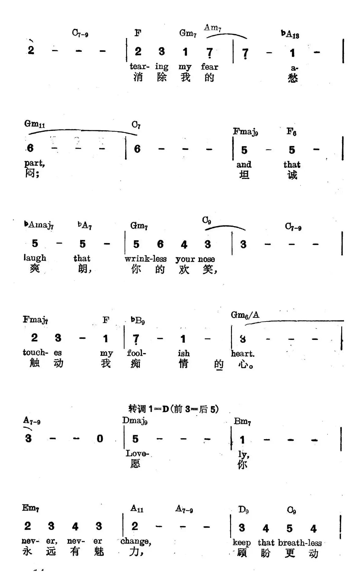 [美]今晚你的神韵