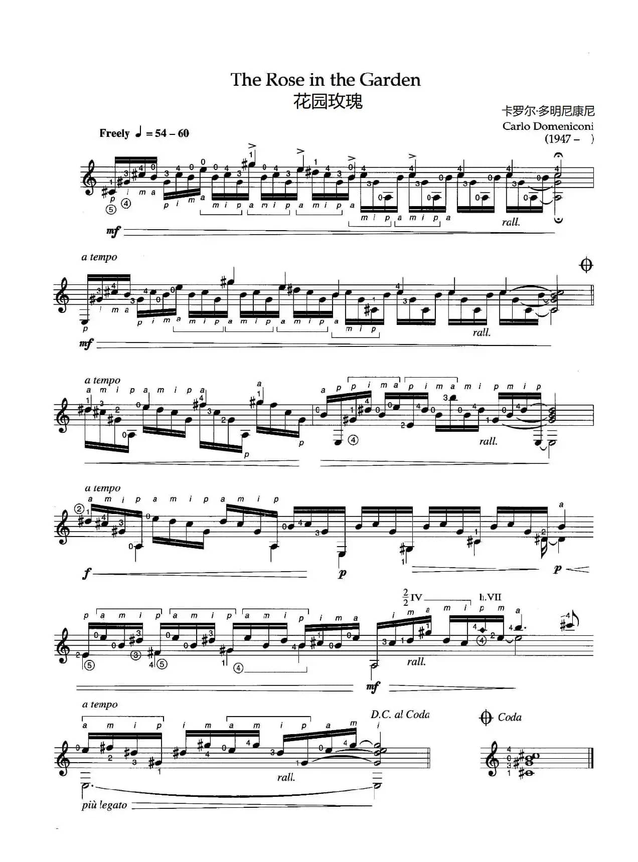 花园玫瑰 （ The Rose in the Garden）