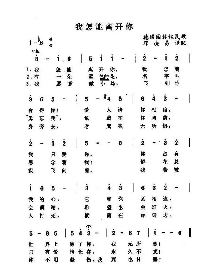 我怎能离开你（德）