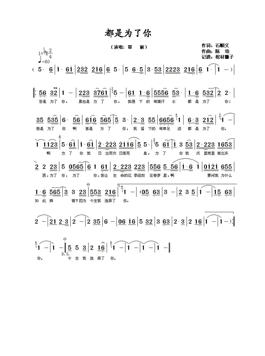 都是为了你（石顺义词 陈珀曲）