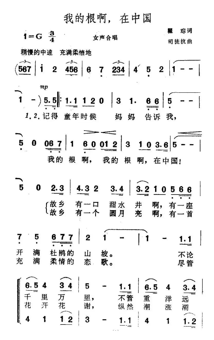 我的根啊，在中国
