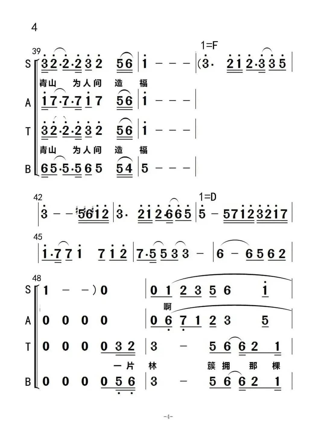 大森林记得一棵树