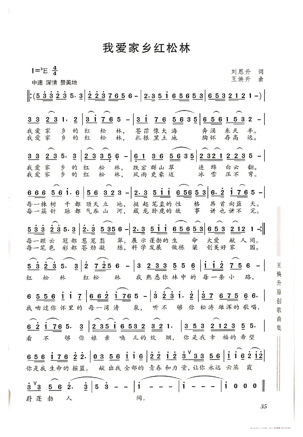 我爱家乡的红松林