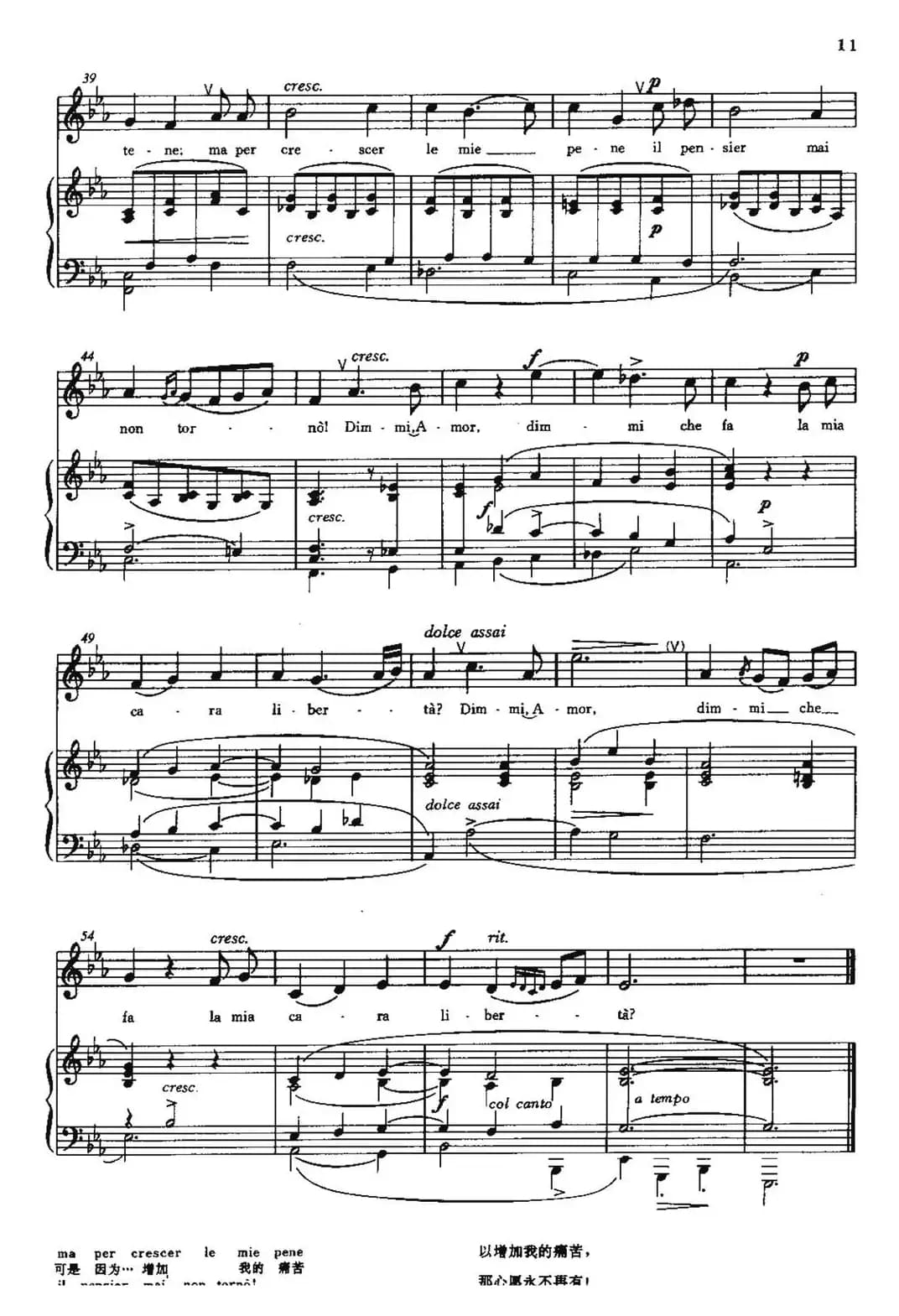 [意]Dimmi,Amor（告诉我，爱神）