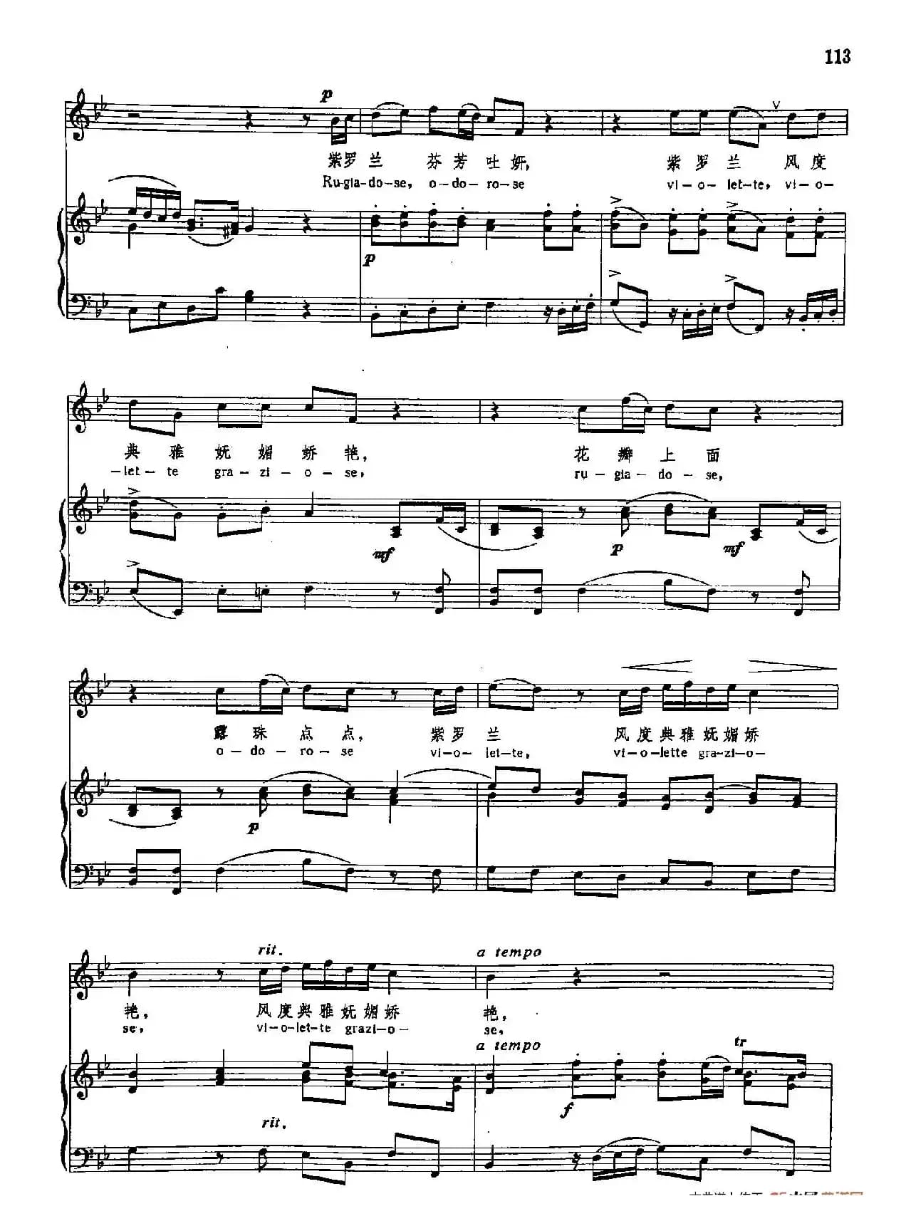 声乐教学曲库3-[意]25紫罗兰（正谱）