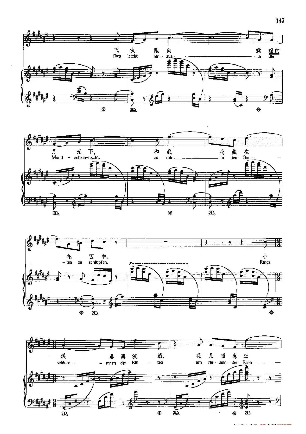 声乐教学曲库4-[德-奥]26小夜曲（正谱） 