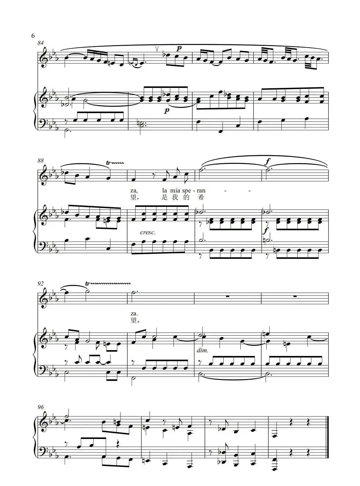 《受伤的新娘》